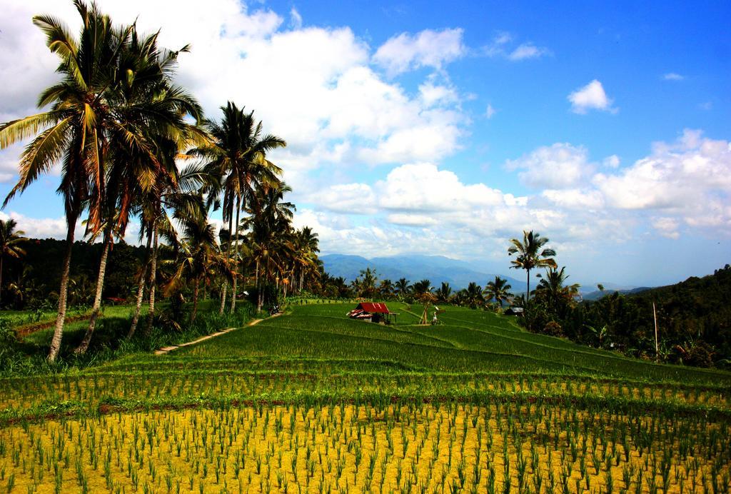 Отель Puri Alam Bali Мундук Экстерьер фото